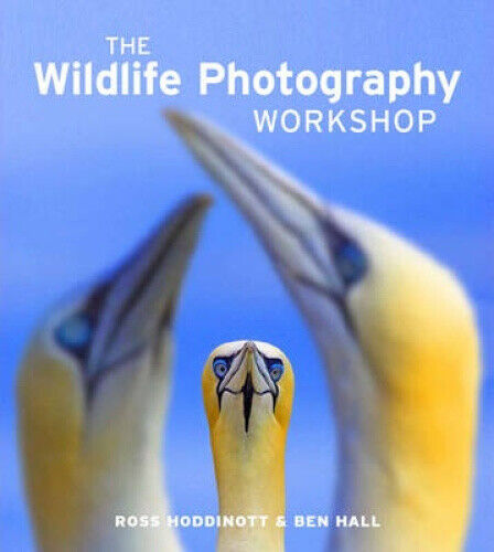 The Wildlife Photography Workshop, by Ross Hoddinott