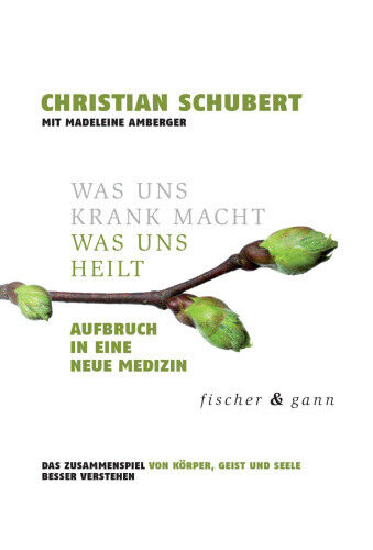 Was uns krank macht - Was uns heilt [German] by Schubert, Christian