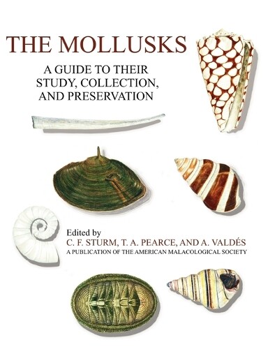C F Sturm T a Pearce A Valdes The Mollusks (Tascabile)