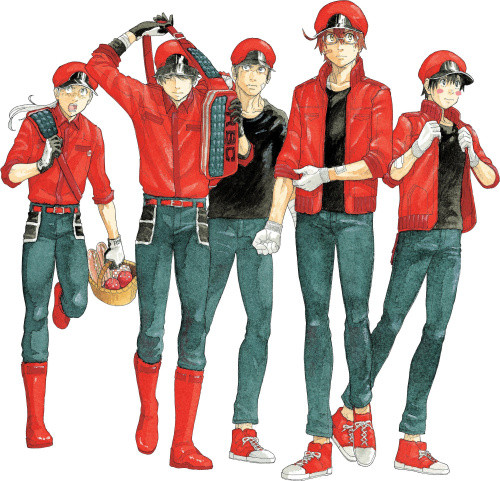 Cells at Work! CODE BLACK 6 (Cells at Work! Code Black) by Shigemitsu Harada
