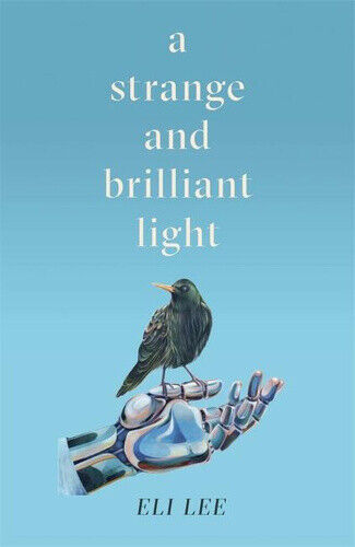 A Strange and Brilliant Light: Winner of the Writers’ Guild Best First Novel