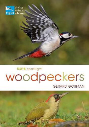 Rspb Spotlight Woodpeckers by Gorman, Gerard