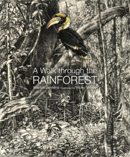 Martin Jenkins A Walk Through the Rain Forest (Copertina rigida)