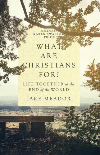 What Are Christians For? – Life Together at the End of the World by Meador, Jake