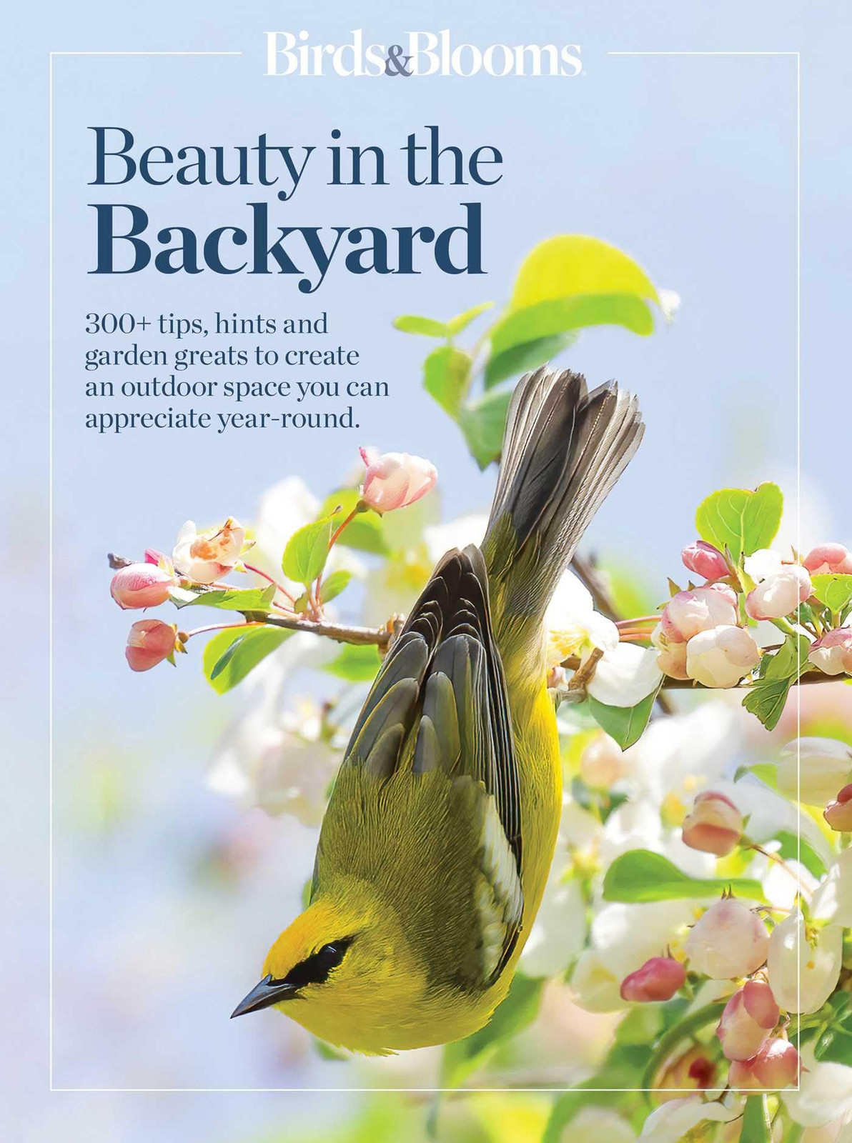 Birds & Blooms Birds & Blooms Beauty in the Backyard: 300+ TIPS, HIN (Tascabile)