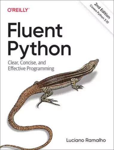 Fluent Python Clear programmazione concisa ed efficace di Luciano Ramalho