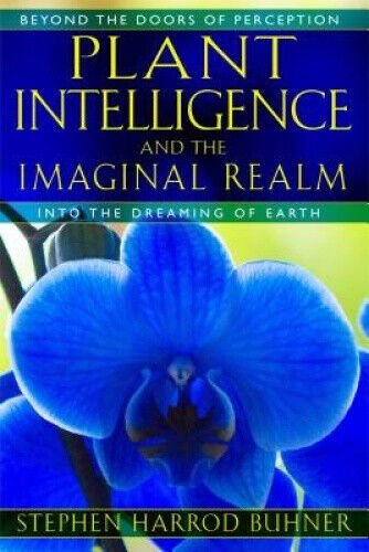 Plant Intelligence and the Imaginal Realm: Beyond the Doors of Perception Into