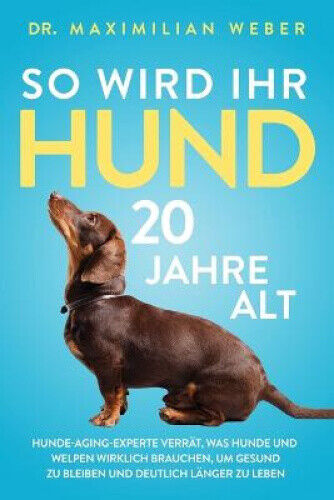 So wird Ihr Hund 20 Jahre alt: Hunde-Aging-Experte verrät, was Hunde und