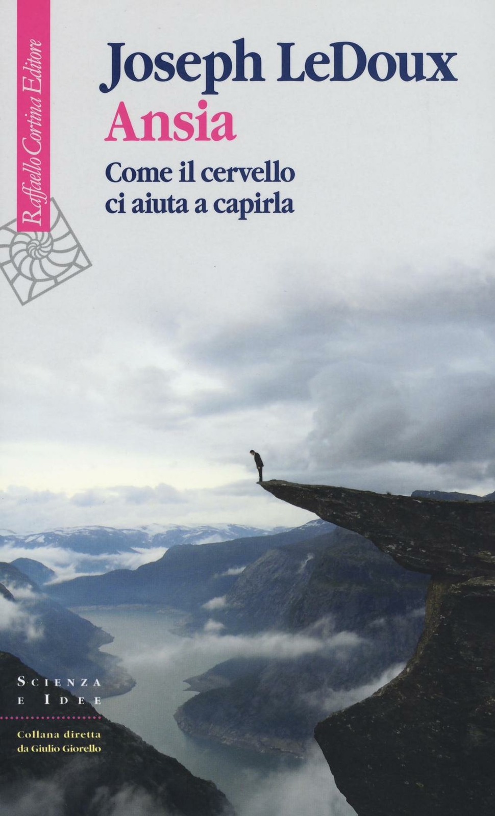 Ansia. Come il cervello ci aiuta a capirla - LeDoux Joseph