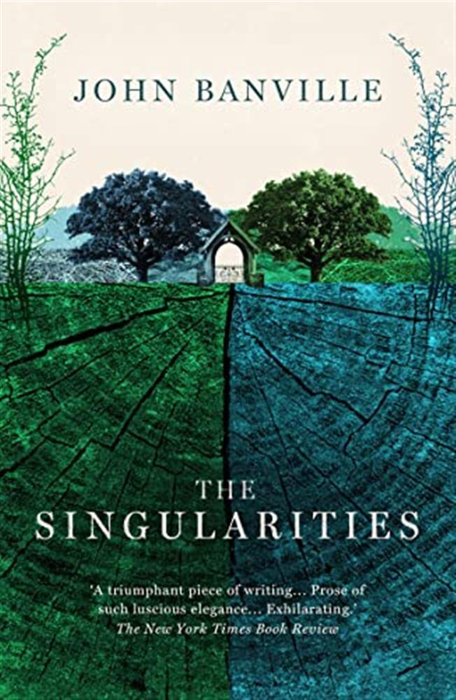 The singularities: john banville - Banville John