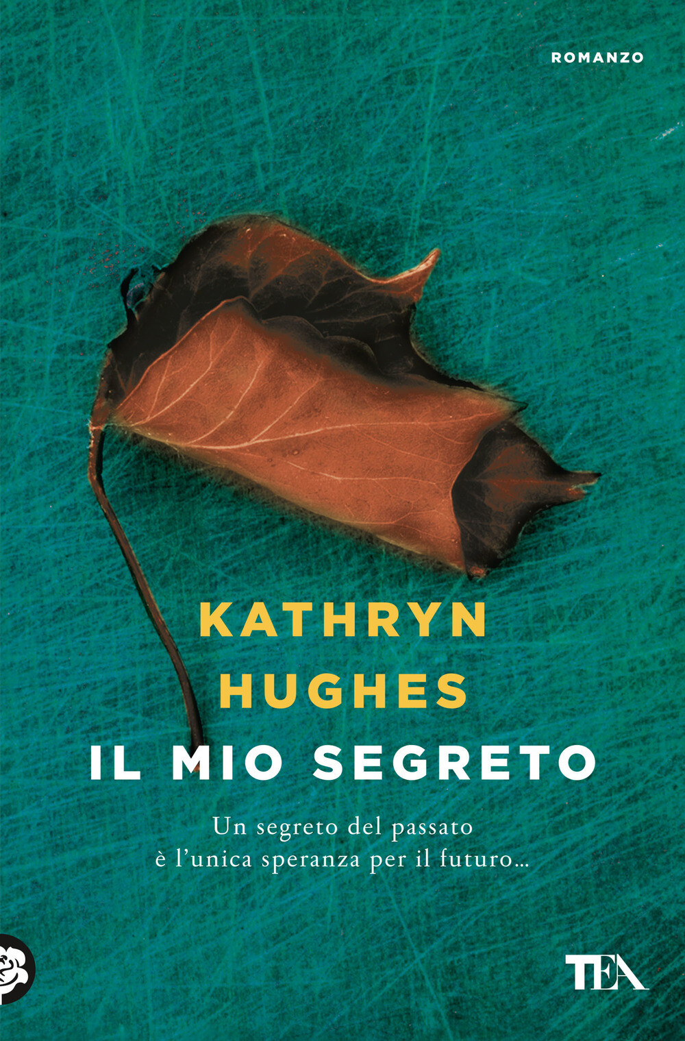 Il mio segreto - Hughes Kathryn