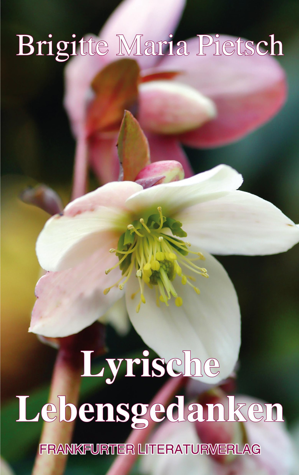 Pietsch, B Lyrische Lebensgedanken - (German Import) Book NUOVO