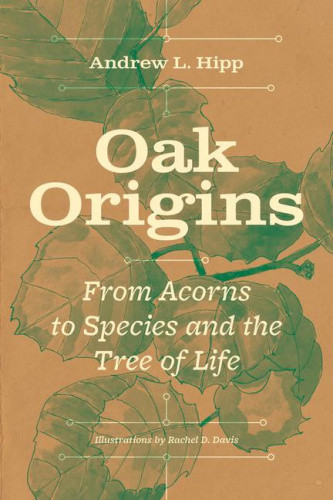 Oak Origins: From Acorns to Species and the Tree of Life by Hipp, Andrew L