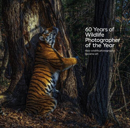 60 Years of Wildlife Photographer of the Year: How Wildlife Photography Became