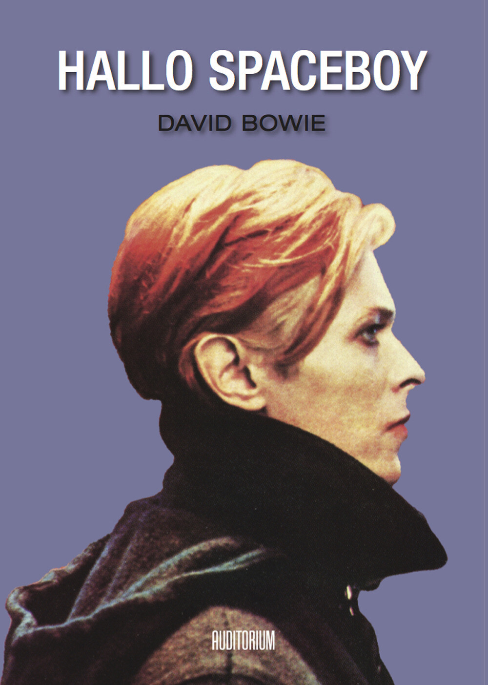 David Bowie. Hallo spaceboy - AA.VV.