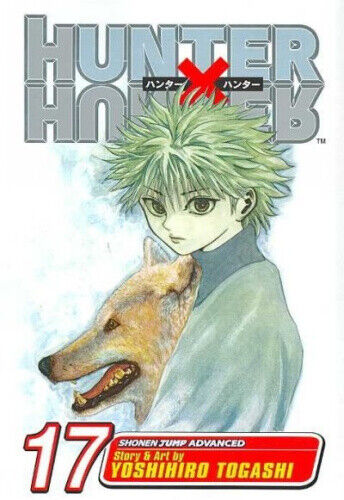 Hunter x Hunter, Vol. 17: A Fierce Three-Way Struggle (Hunter X Hunter)