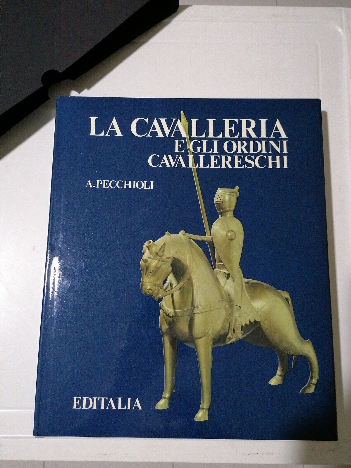 La cavalleria e gli ordini cavallereschi / Arrigo Pecchioli