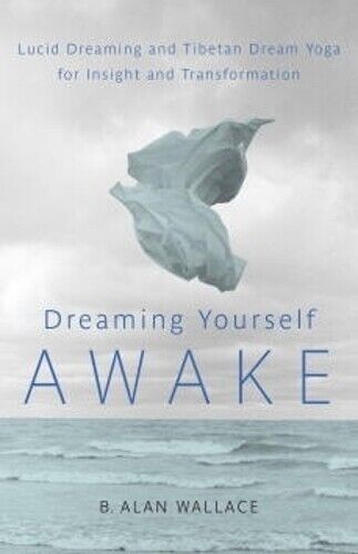 B. Alan Wallace Brian Hodel Dreaming Yourself Awake (Tascabile)