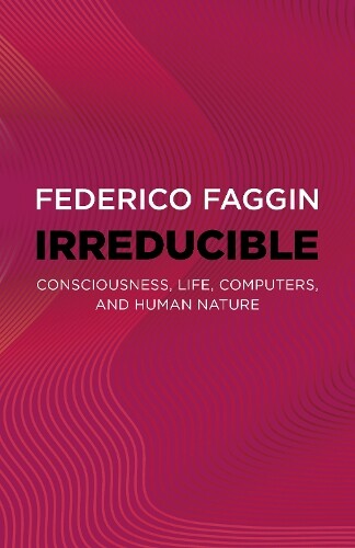 Federico Faggin Irreducible (Tascabile)