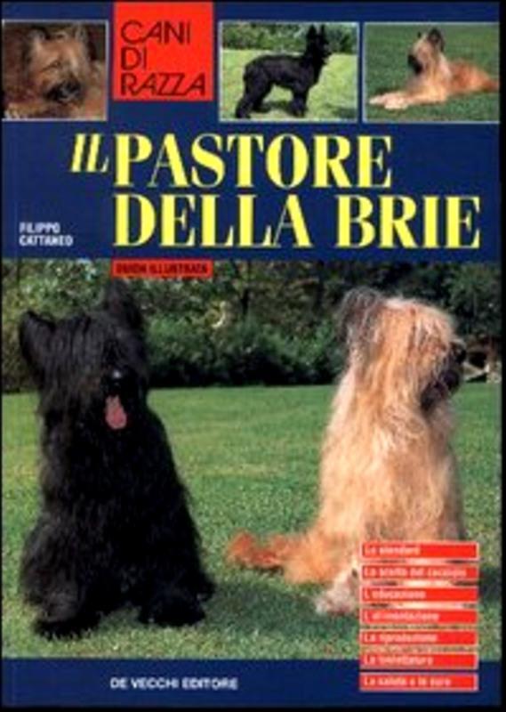 Il pastore della Brie Cattaneo, Filippo
