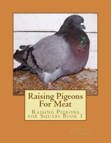 Raising Pigeons for Meat: Raising Pigeons for Squabs Book 1 by E H Rice