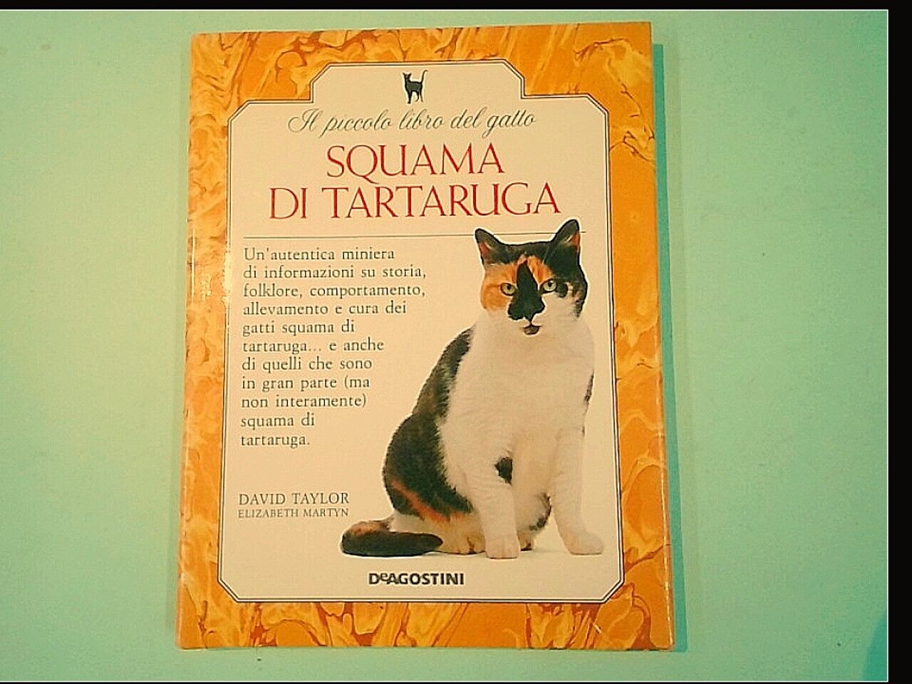 SQUAMA DI TARTARUGA TAYLOR MARTYN DE AGOSTINI