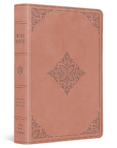 ESV ESV Value Large Print Compact Bible (Rilegato in ecopelle)