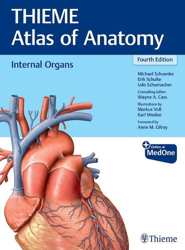 Internal Organs (Thieme Atlas of Anatomy) by Michael Schuenke