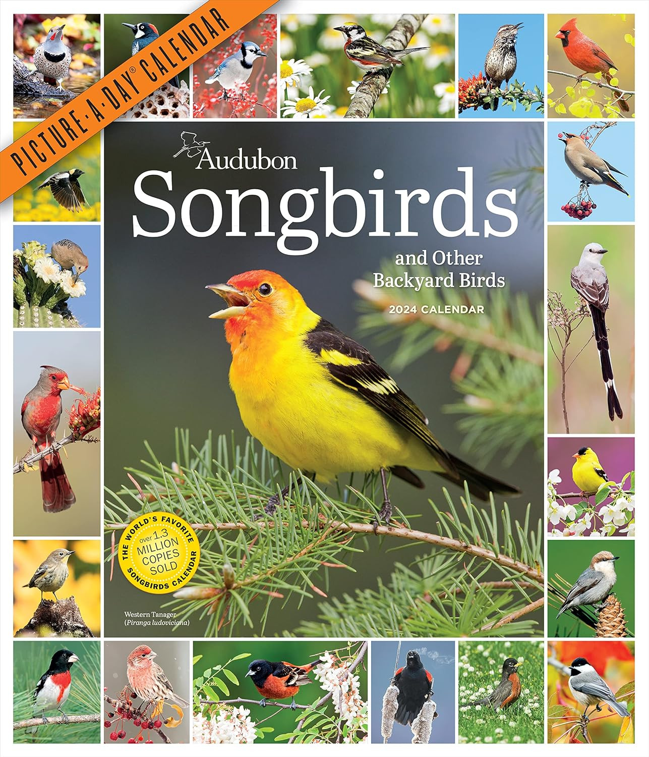 9781523518982 Audubon Songbirds and Other Backyard Birds Picture...Track of 2024