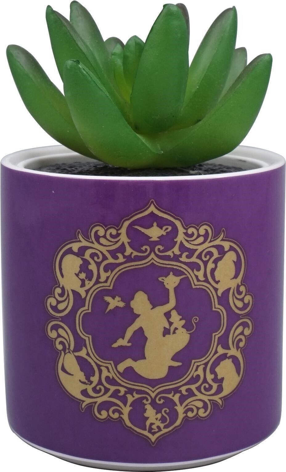 Disney: Half Moon Bay - Aladdin - Purple (Plant Pot Faux Boxed 6.5 Cm / Pianta F