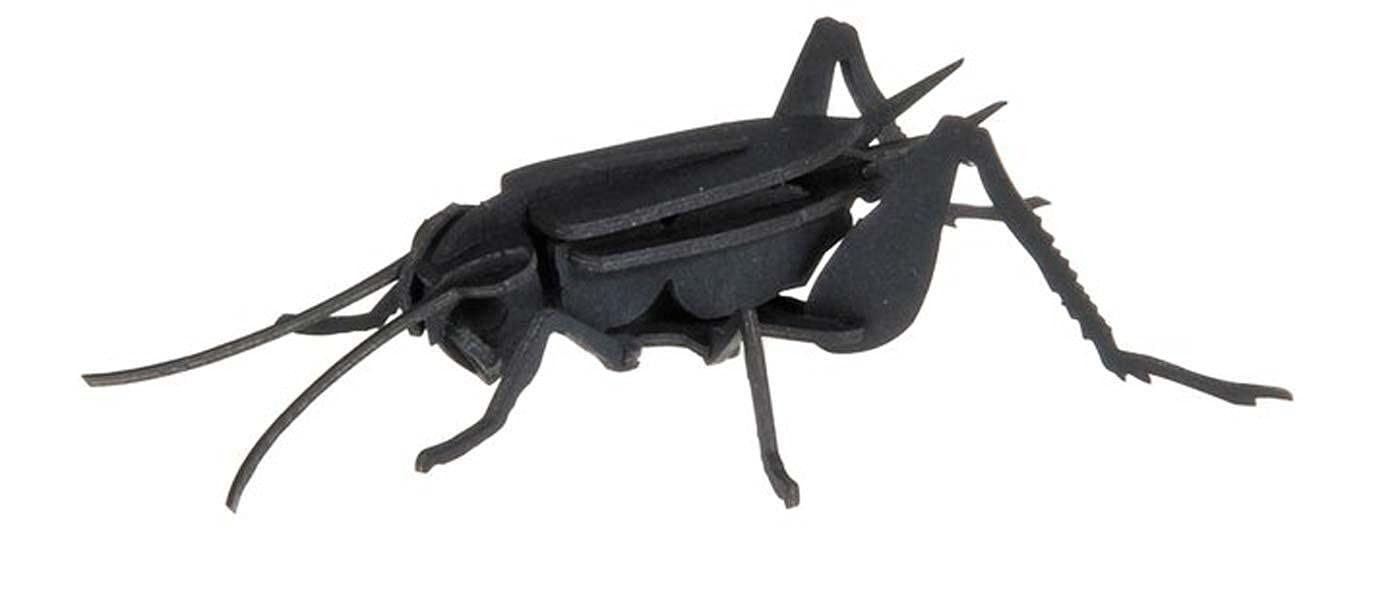3D Paper Model Cricket Toy NUOVO