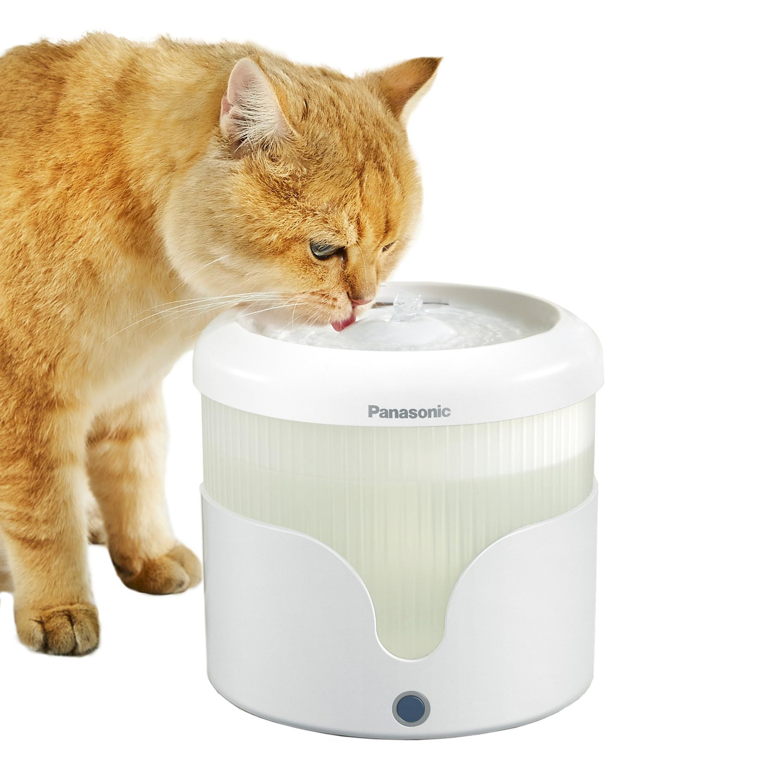 Pet Water Fountain Panasonic Cp-Jnw01Cw NUOVO