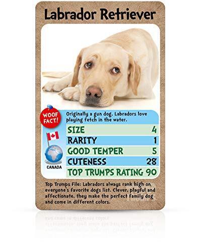 Top Trumps - Dogs NUOVO