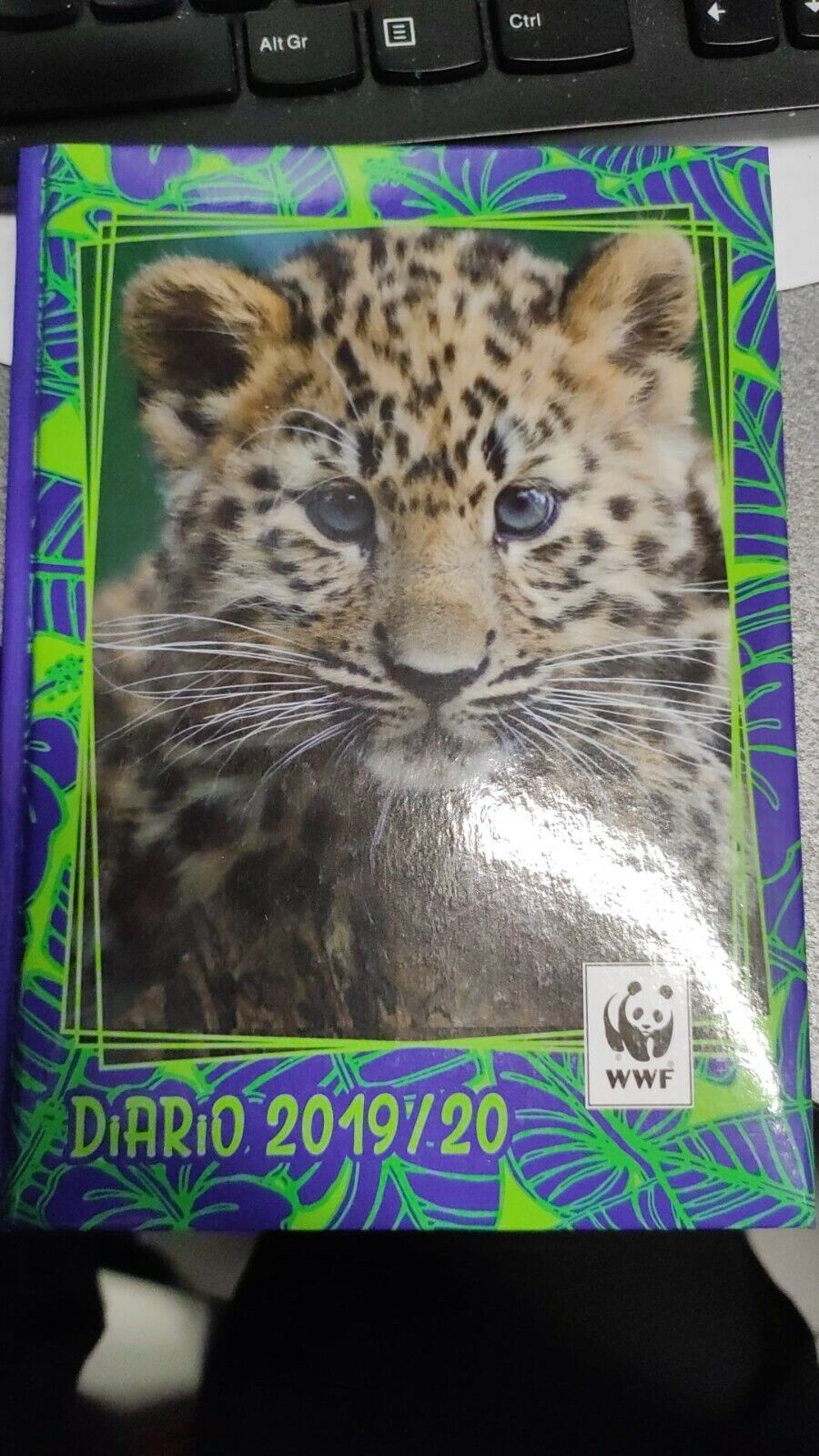 VECCHIO DIARIO WWF DATATO 2019/202020    tigrottino