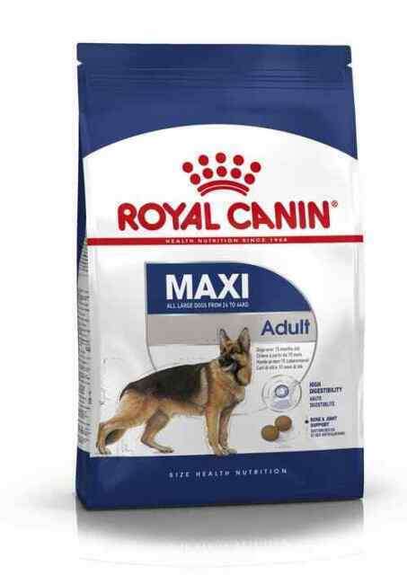 Royal Canin Maxi Adult Alimento Per Cani di Taglia Grande (26 - 44 kg) - 4 kg