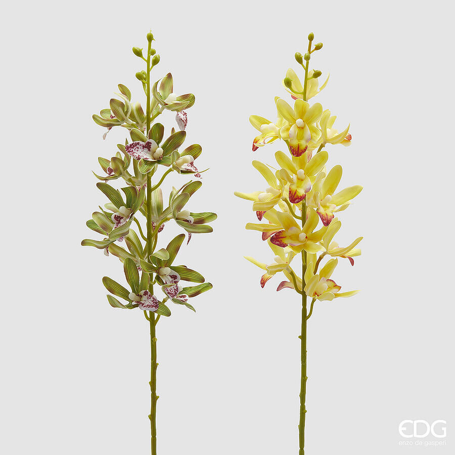 EDG Enzo De Gasperi EDG Enzo De Gasperi Ramo Orchidea Cymbidium Artificiale H 70