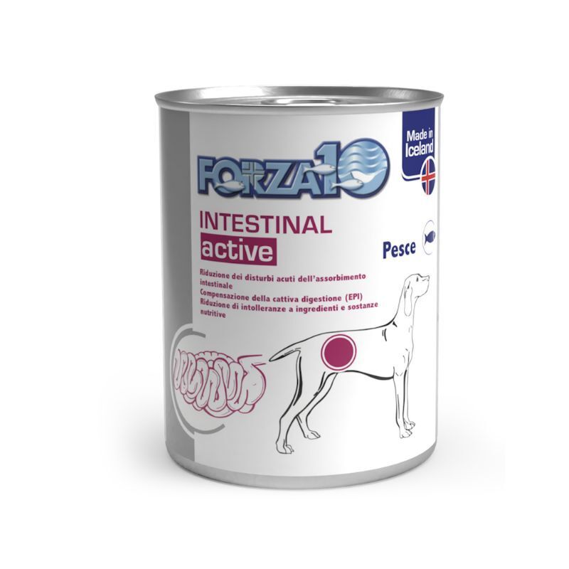 Forza 10 dog active intestinal pesce 390gr