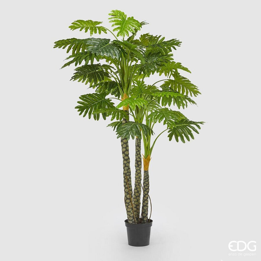 EDG Enzo De Gasperi EDG Enzo De Gasperi Filodendro con Vaso Artificiale H 240 Cm
