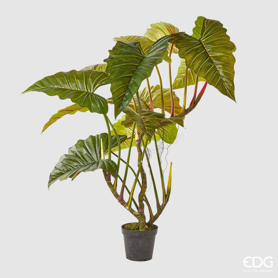 EDG Enzo De Gasperi EDG Enzo De Gasperi Alocasia Pianta con Vaso Artificiale H 1