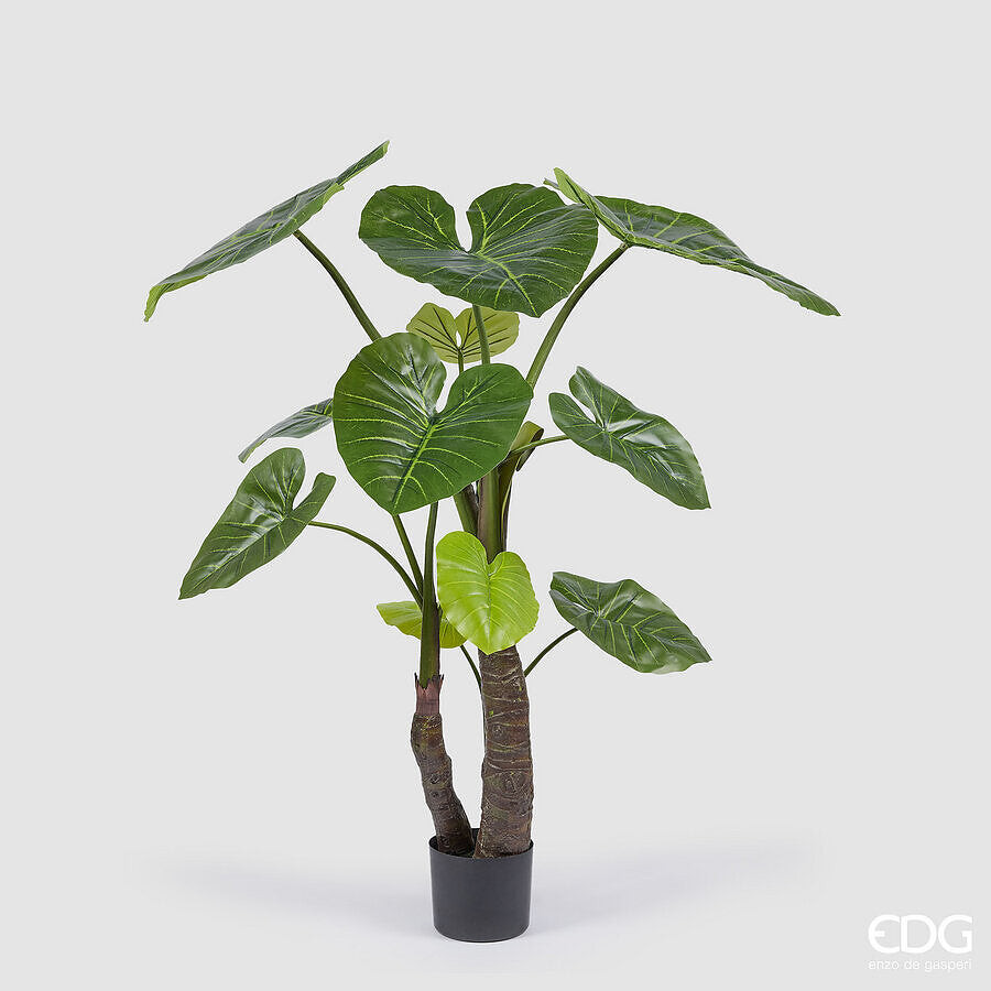 EDG Enzo De Gasperi EDG Enzo De Gasperi Alocasia con Vaso Artificiale H 180 Cm G