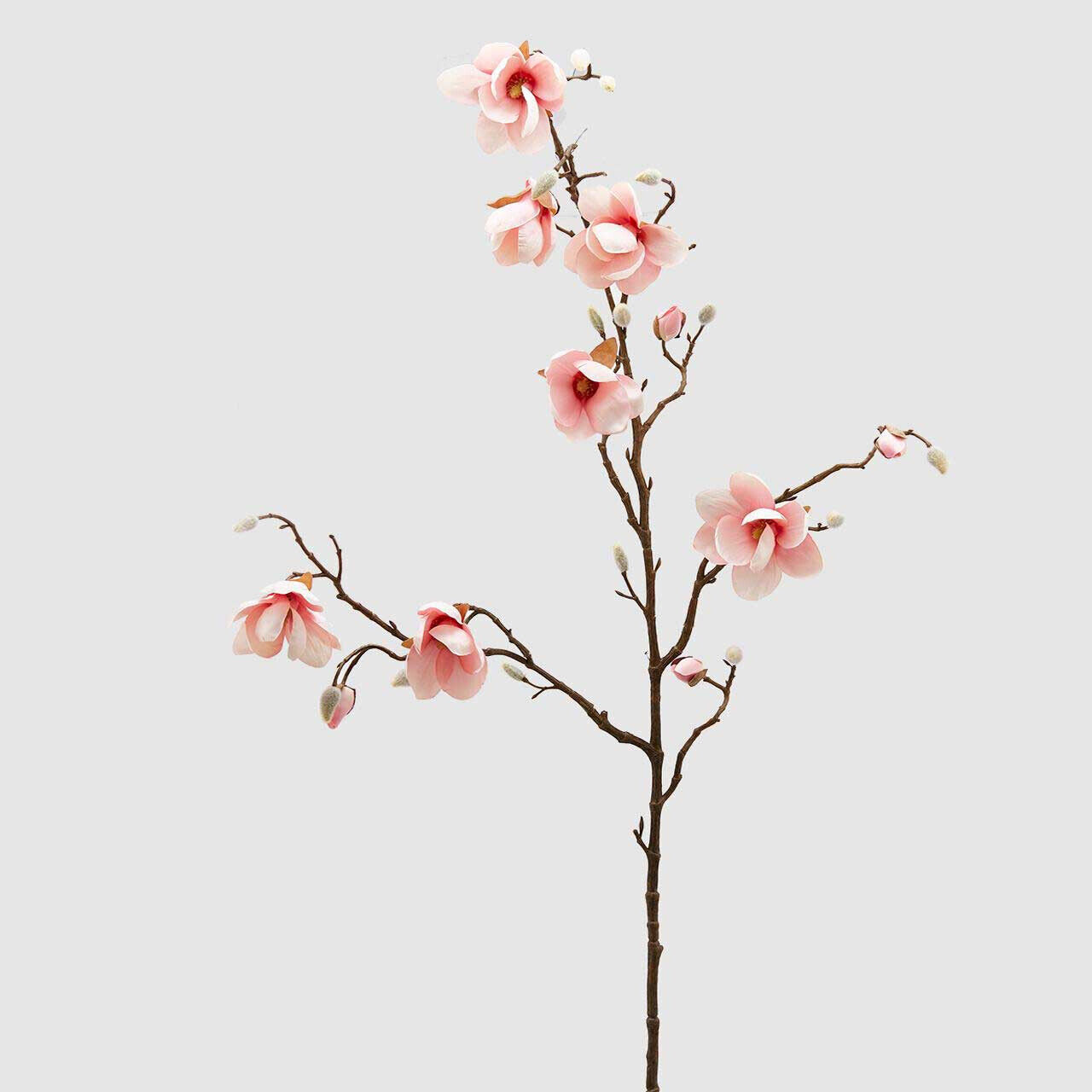 EDG - Enzo de Gasperi Pianta artificiale ramo di Magnolia Stellata   Plastica Ro