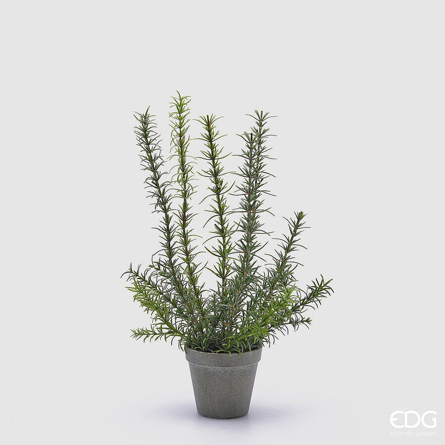 EDG Enzo De Gasperi EDG Enzo De Gasperi Rosmarino con Vaso Artificiale H 46 Cm G