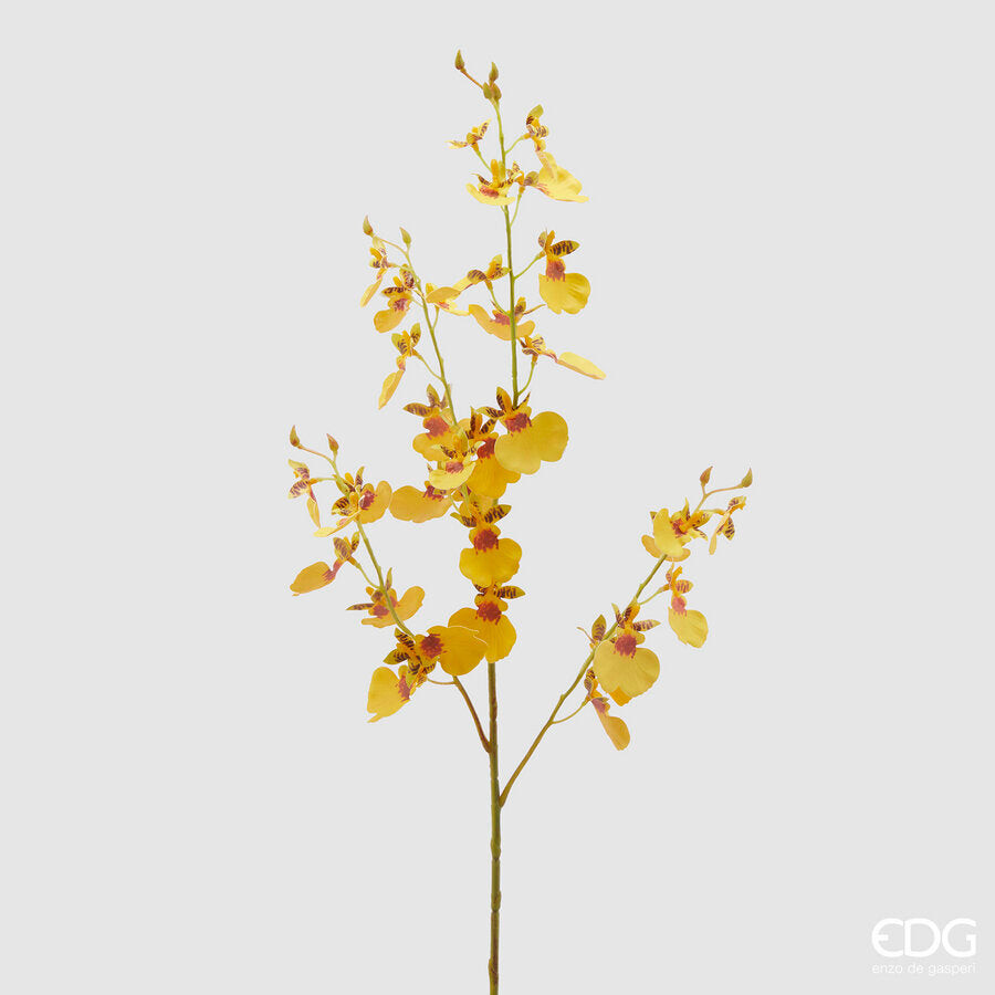 EDG Enzo De Gasperi EDG Enzo De Gasperi Orchidea Oncidium Ramo x4 Artificiale H