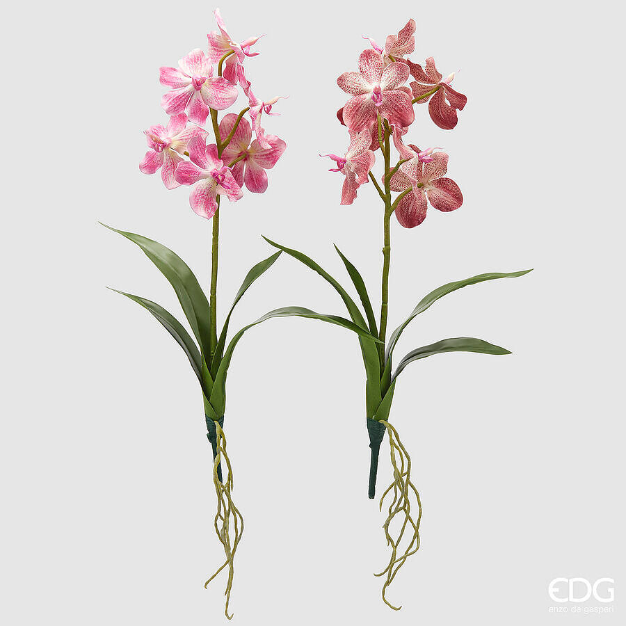 EDG Enzo De Gasperi EDG Enzo De Gasperi Cespuglio Orchidea Vanda Artificiale con