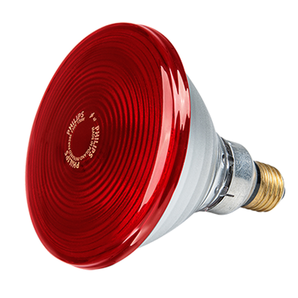 LAMPADA INFRAROSSO PHILIPS PAR 38 per Pulcini dopo l'incubatrice