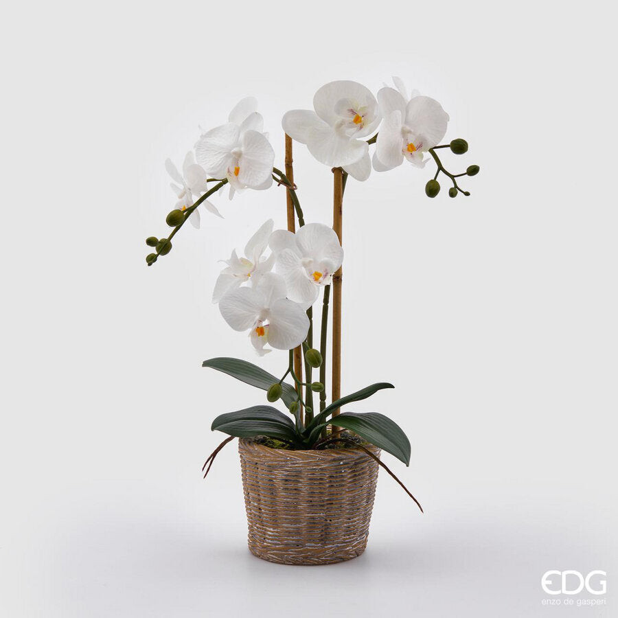 EDG Enzo De Gasperi EDG Enzo De Gasperi Orchidea Phalaenopsis Pianta x3 Artifici