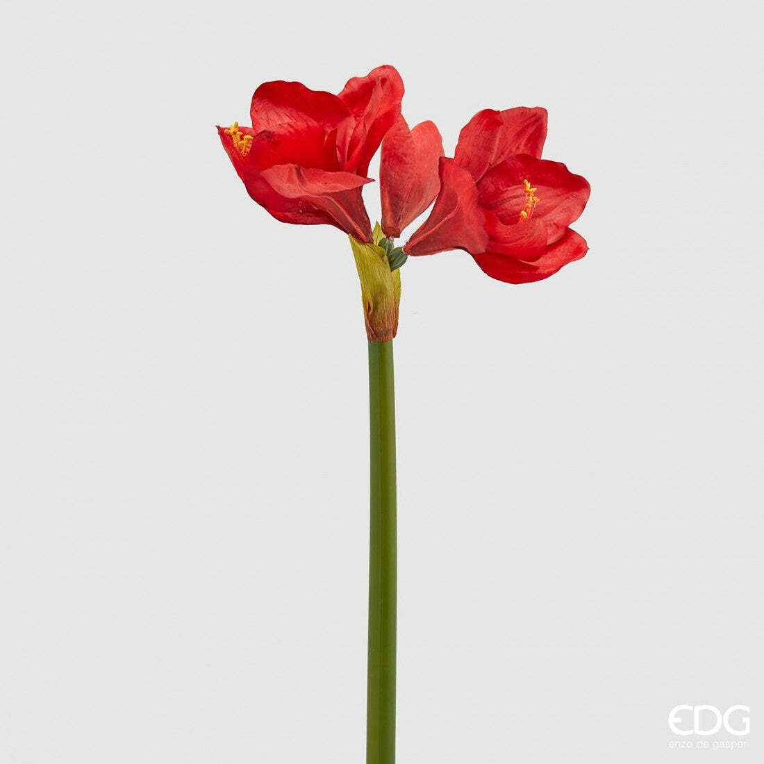 EDG Enzo De Gasperi EDG Enzo De Gasperi Ramo Amaryllis Real Artificiale 3 Fiori