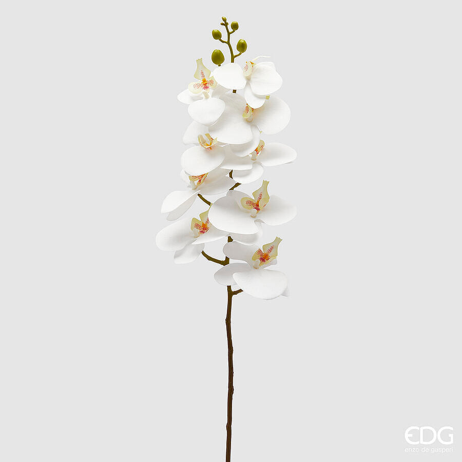 EDG Enzo De Gasperi EDG Enzo De Gasperi Orchidea Phalaenopsis Ramo Artificiale H