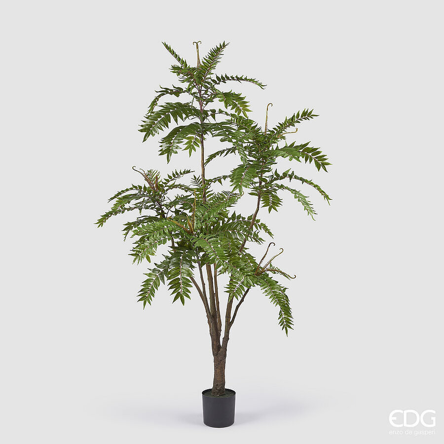 EDG Enzo De Gasperi EDG Enzo De Gasperi Ailanto con Vaso Artificiale H 220 Cm Gr
