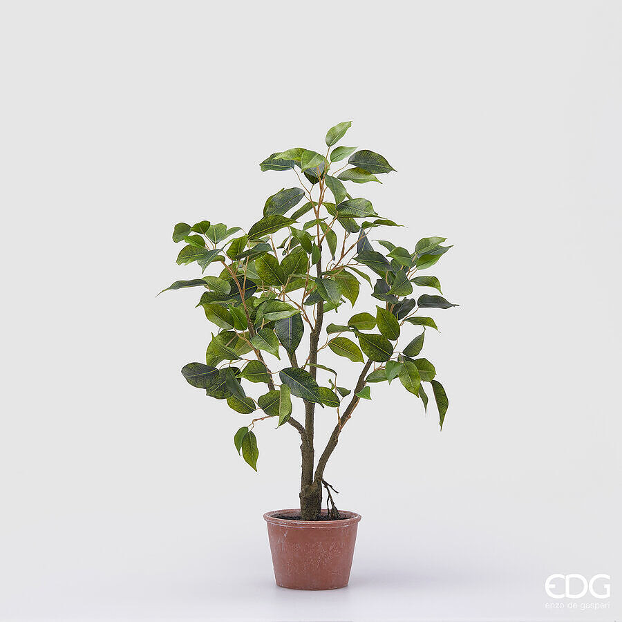 EDG Enzo De Gasperi EDG Enzo De Gasperi Ficus con Vaso Artificiale H 60 Cm Green